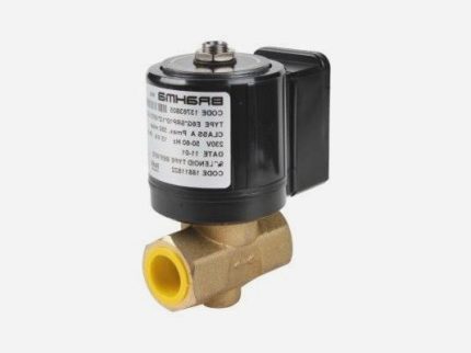 Клапан газовый для горелки Elco E6G*SRP10*1/2*GFD 13763805, 65323561