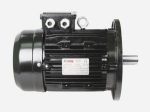 elektrodvigatel_dlya_gorelki_ecoflam_65312555_5_1