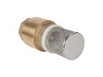 donnyy-filtr-s-obratnym-klapanom-latun-1-dyuym-2409-475963