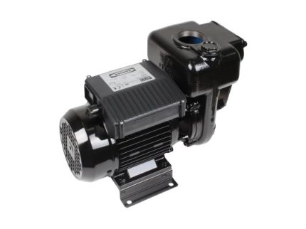 Насос для дизельного топлива Piusi E 300